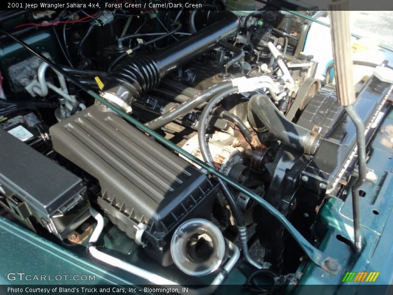 Forest Green / Camel/Dark Green 2001 Jeep Wrangler Sahara 4x4