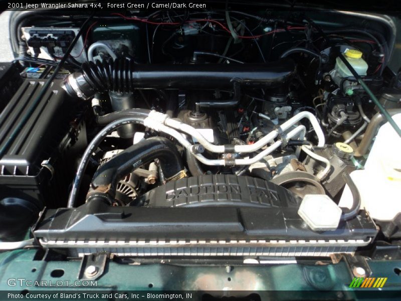 Forest Green / Camel/Dark Green 2001 Jeep Wrangler Sahara 4x4