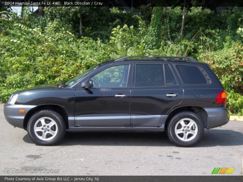 Black Obsidian / Gray 2004 Hyundai Santa Fe LX 4WD