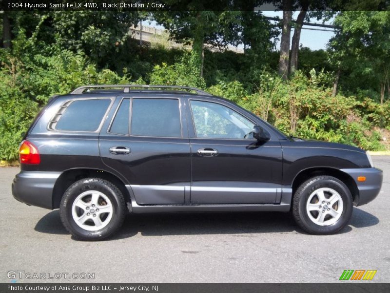 Black Obsidian / Gray 2004 Hyundai Santa Fe LX 4WD