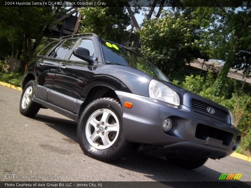 Black Obsidian / Gray 2004 Hyundai Santa Fe LX 4WD