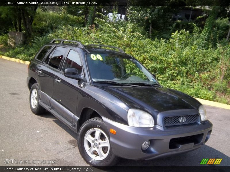 Black Obsidian / Gray 2004 Hyundai Santa Fe LX 4WD