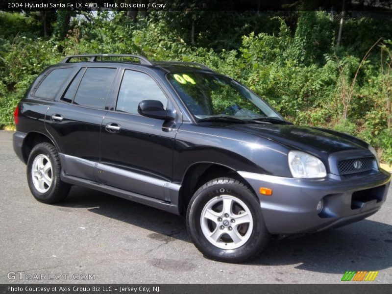 Black Obsidian / Gray 2004 Hyundai Santa Fe LX 4WD