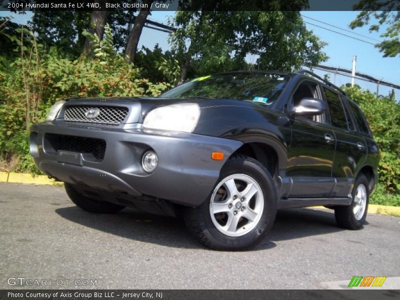 Black Obsidian / Gray 2004 Hyundai Santa Fe LX 4WD