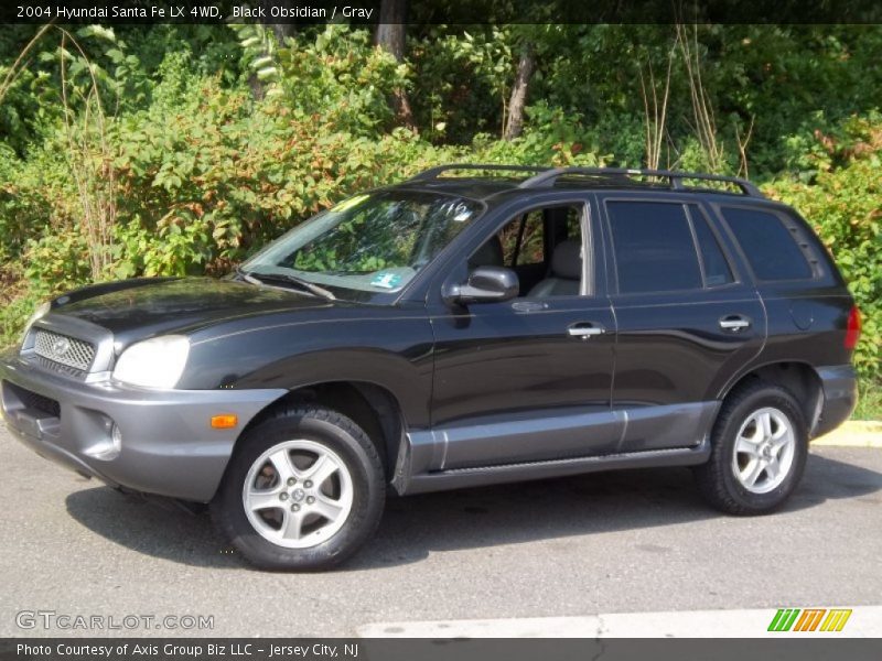 Black Obsidian / Gray 2004 Hyundai Santa Fe LX 4WD