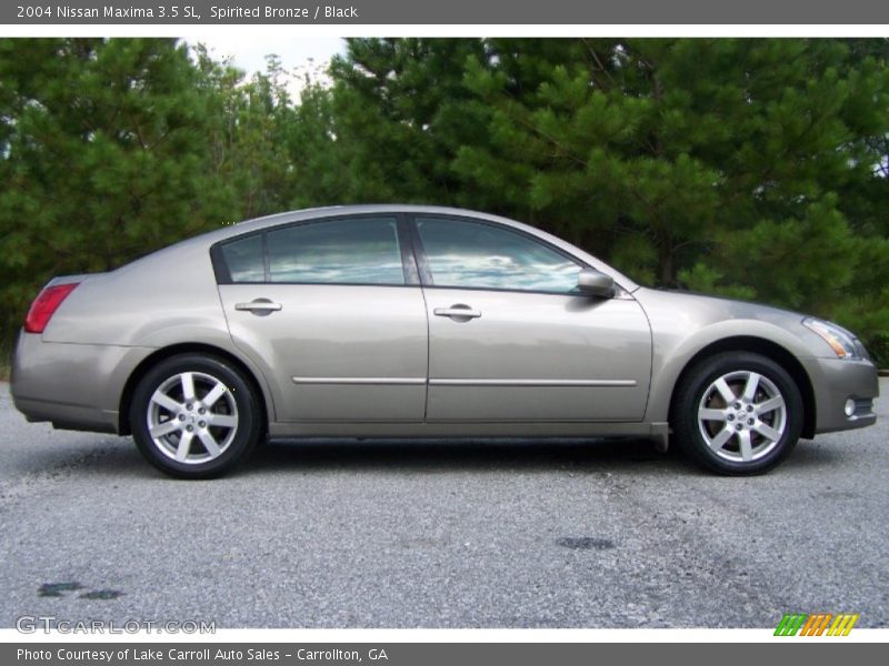 Spirited Bronze / Black 2004 Nissan Maxima 3.5 SL
