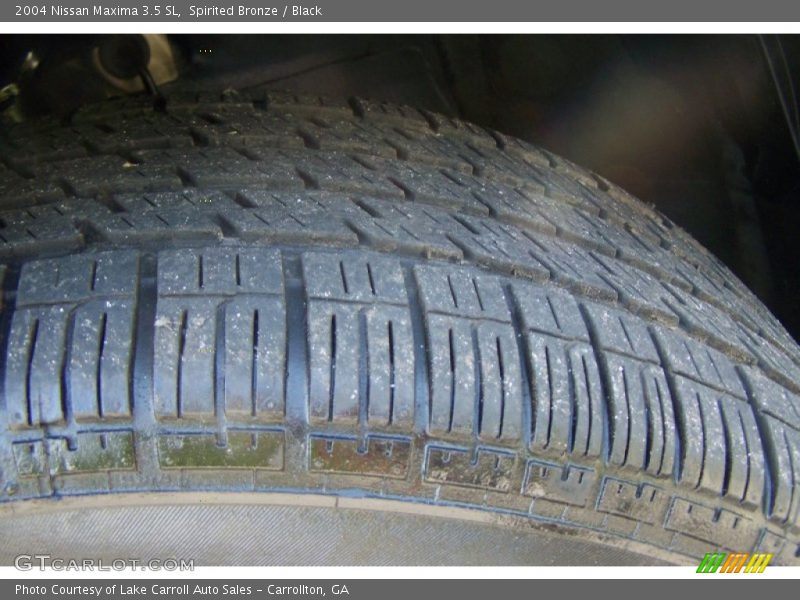 Spirited Bronze / Black 2004 Nissan Maxima 3.5 SL