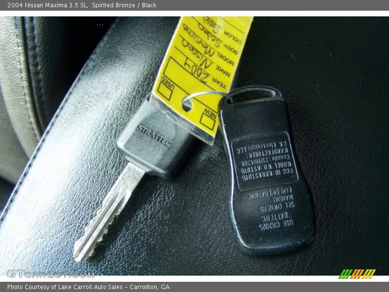 Spirited Bronze / Black 2004 Nissan Maxima 3.5 SL