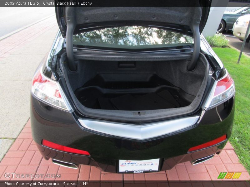 Crystal Black Pearl / Ebony 2009 Acura TL 3.5