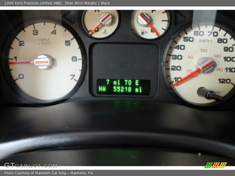 Silver Birch Metallic / Black 2006 Ford Freestyle Limited AWD