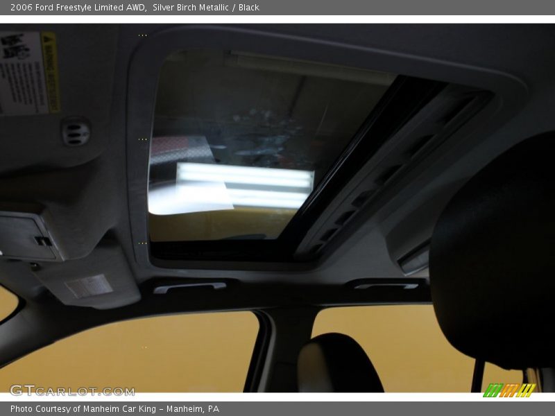 Silver Birch Metallic / Black 2006 Ford Freestyle Limited AWD