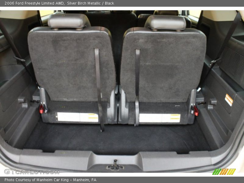 Silver Birch Metallic / Black 2006 Ford Freestyle Limited AWD