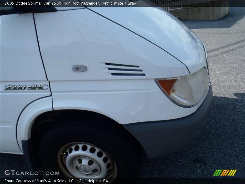 Arctic White / Gray 2005 Dodge Sprinter Van 2500 High Roof Passenger