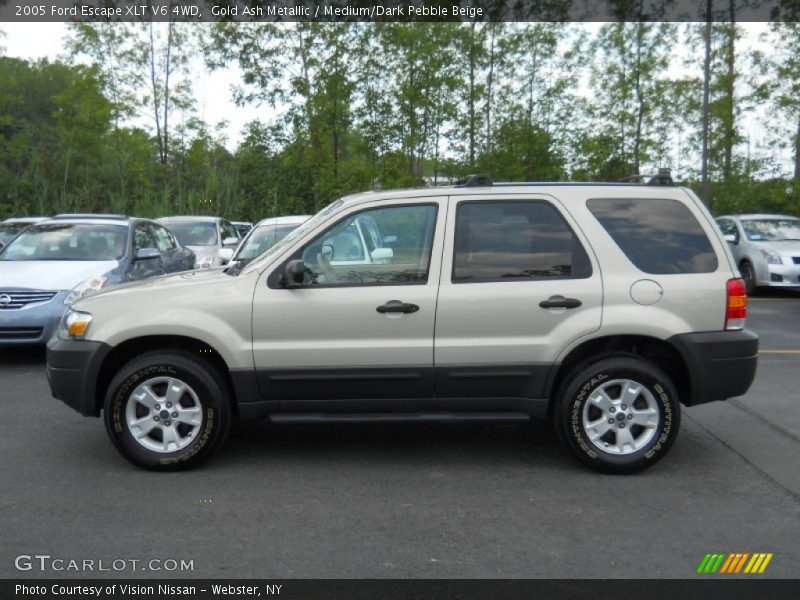 Gold Ash Metallic / Medium/Dark Pebble Beige 2005 Ford Escape XLT V6 4WD