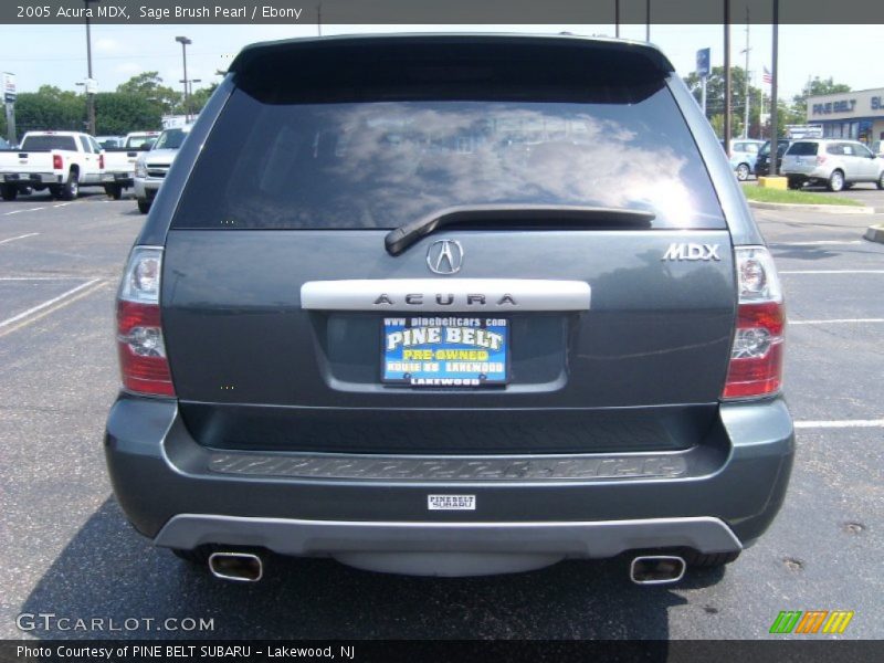 Sage Brush Pearl / Ebony 2005 Acura MDX
