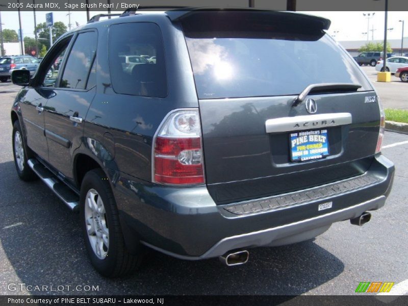 Sage Brush Pearl / Ebony 2005 Acura MDX