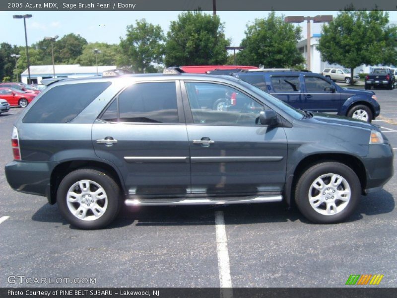 Sage Brush Pearl / Ebony 2005 Acura MDX