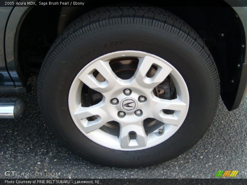 Sage Brush Pearl / Ebony 2005 Acura MDX