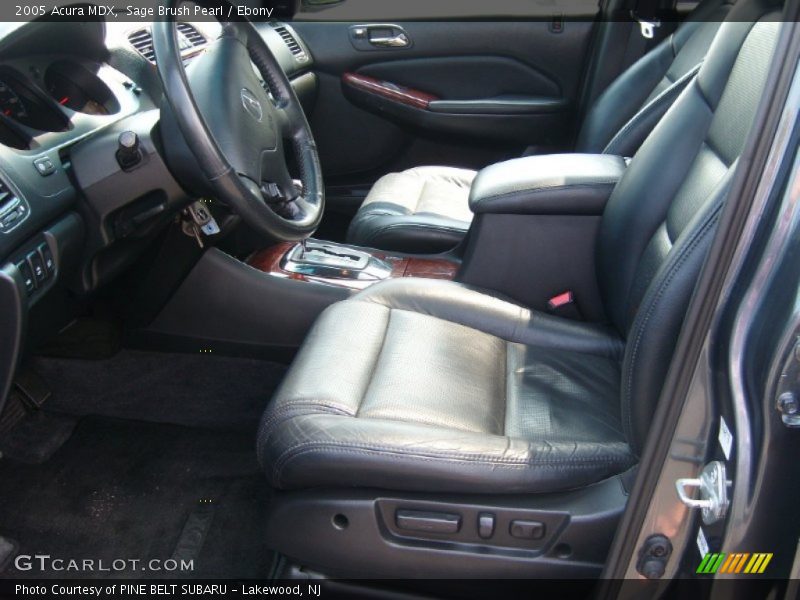 Sage Brush Pearl / Ebony 2005 Acura MDX