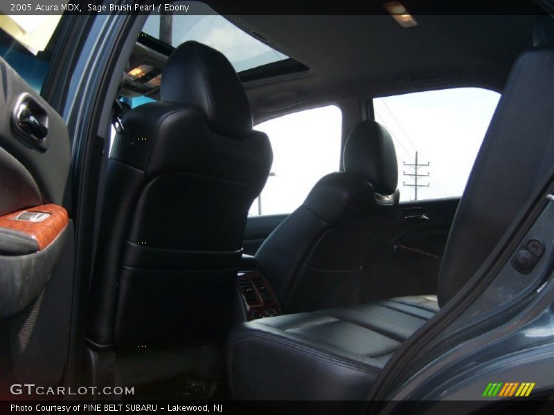 Sage Brush Pearl / Ebony 2005 Acura MDX