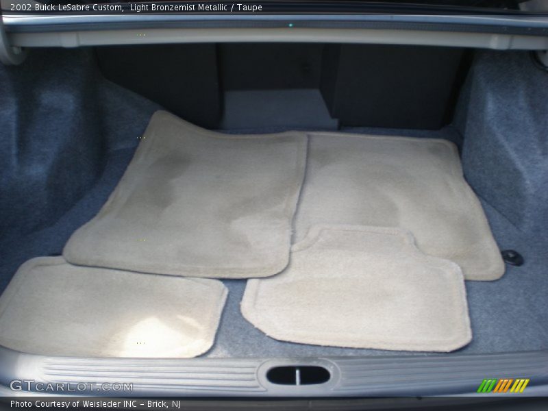 Light Bronzemist Metallic / Taupe 2002 Buick LeSabre Custom