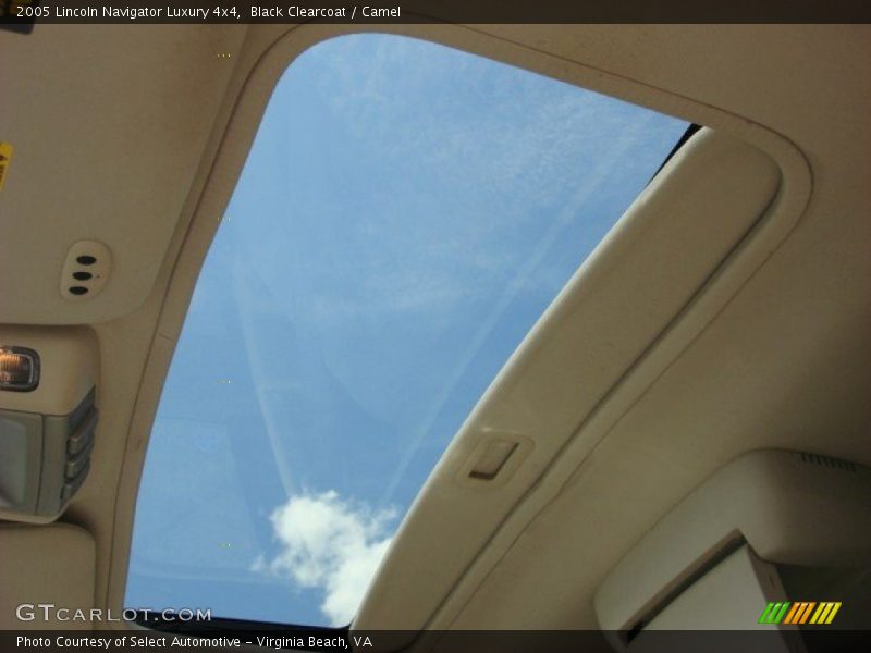 Black Clearcoat / Camel 2005 Lincoln Navigator Luxury 4x4