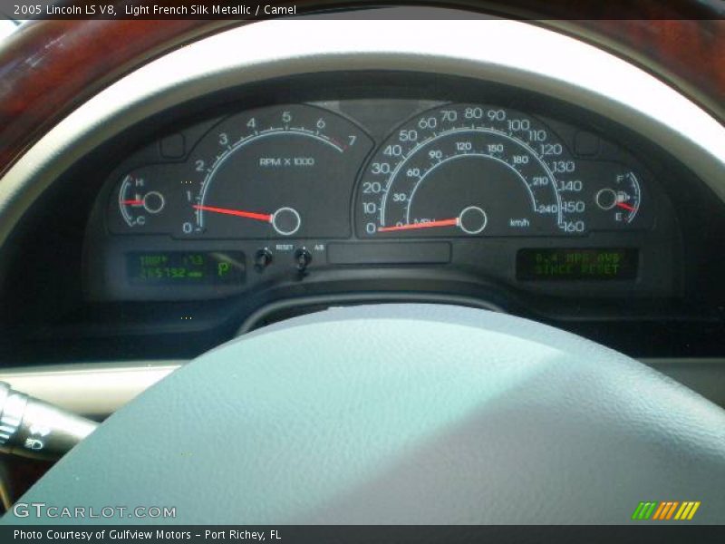 Light French Silk Metallic / Camel 2005 Lincoln LS V8
