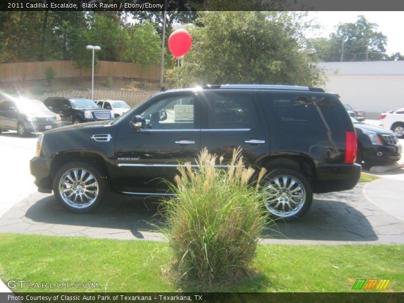 Black Raven / Ebony/Ebony 2011 Cadillac Escalade
