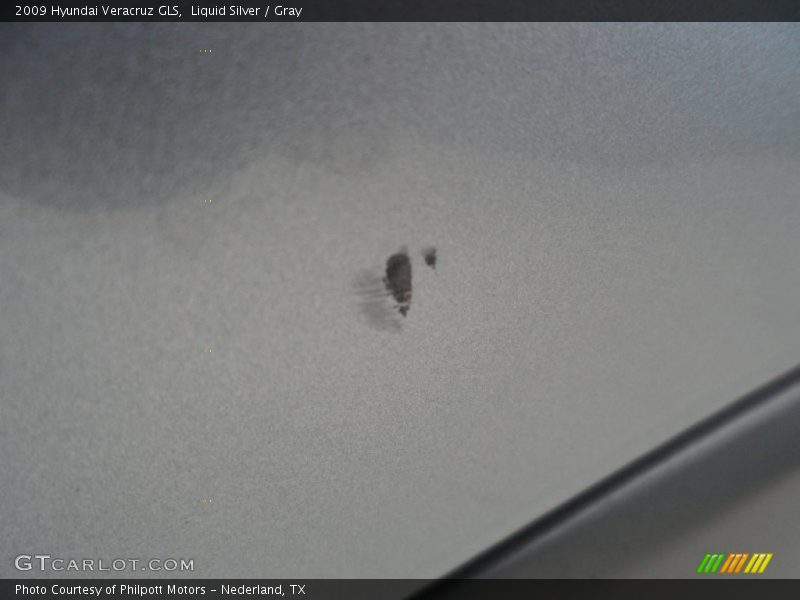 Liquid Silver / Gray 2009 Hyundai Veracruz GLS