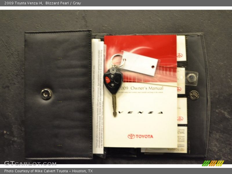 Blizzard Pearl / Gray 2009 Toyota Venza I4