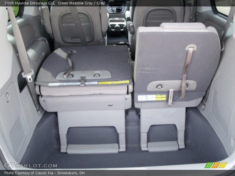 Green Meadow Gray / Gray 2008 Hyundai Entourage GLS