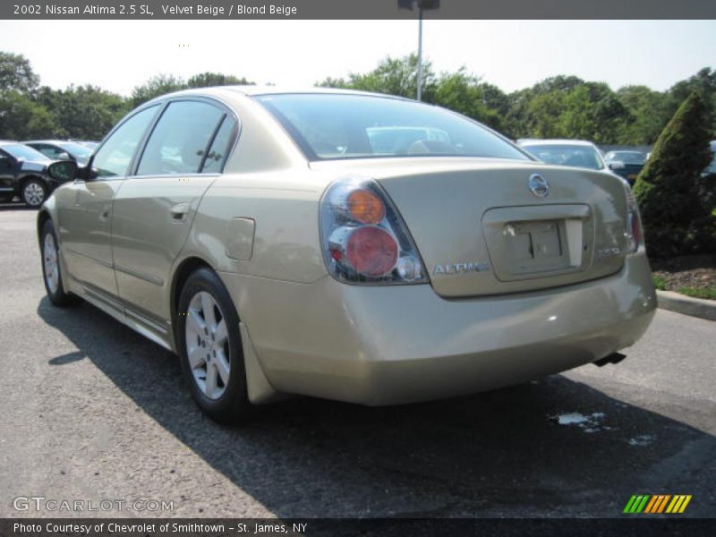 Velvet Beige / Blond Beige 2002 Nissan Altima 2.5 SL