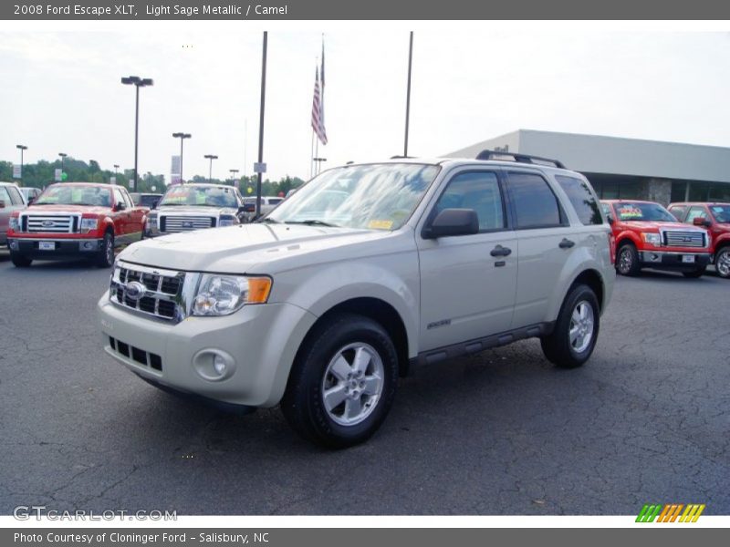 Light Sage Metallic / Camel 2008 Ford Escape XLT