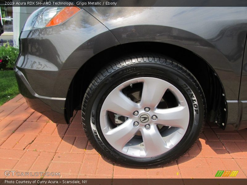 Grigio Metallic / Ebony 2009 Acura RDX SH-AWD Technology