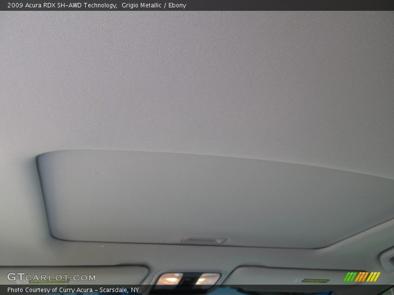Grigio Metallic / Ebony 2009 Acura RDX SH-AWD Technology
