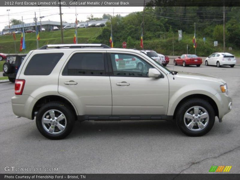 Gold Leaf Metallic / Charcoal Black 2012 Ford Escape Limited V6 4WD