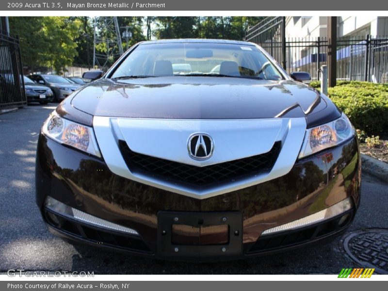 Mayan Bronze Metallic / Parchment 2009 Acura TL 3.5