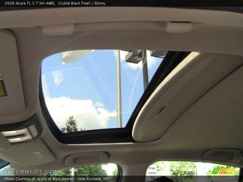Crystal Black Pearl / Ebony 2009 Acura TL 3.7 SH-AWD