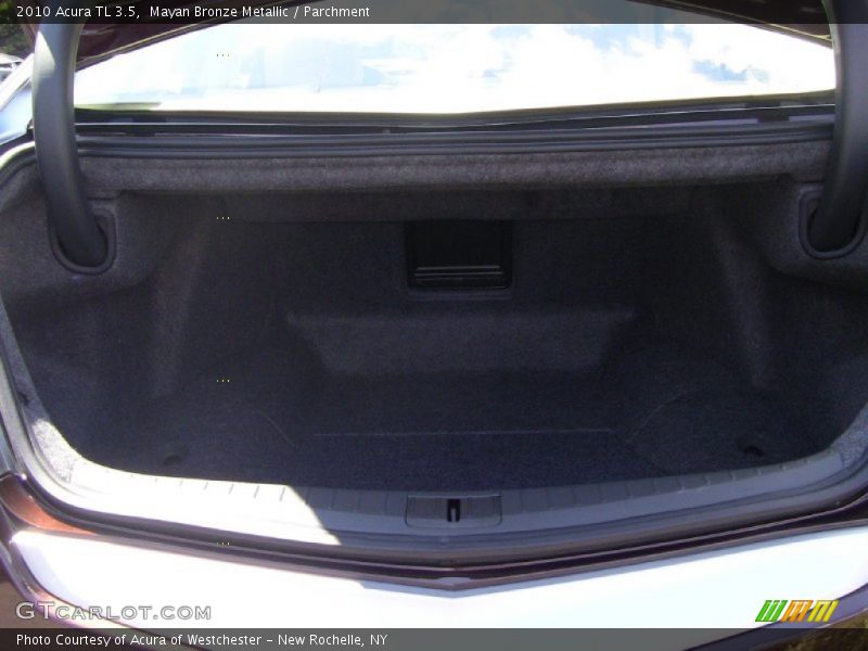 Mayan Bronze Metallic / Parchment 2010 Acura TL 3.5