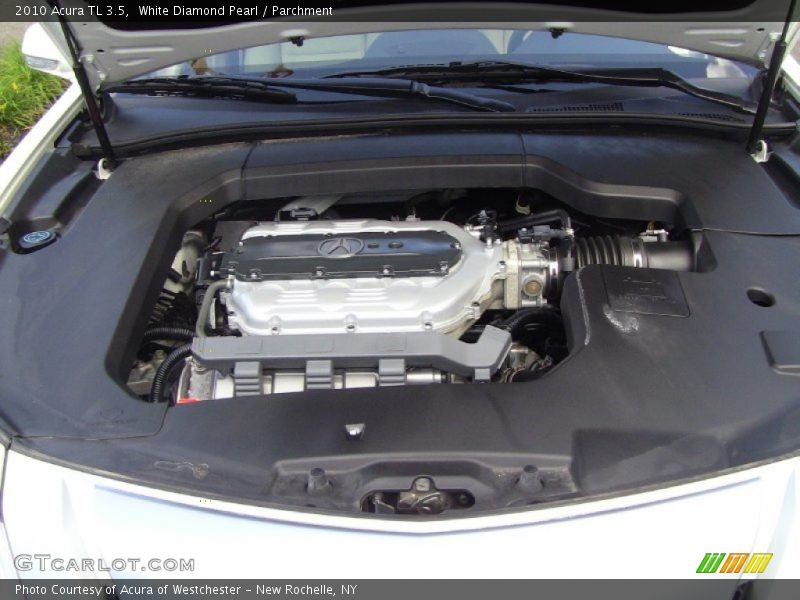 White Diamond Pearl / Parchment 2010 Acura TL 3.5