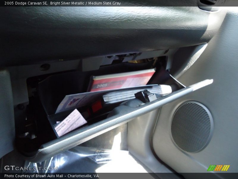 Bright Silver Metallic / Medium Slate Gray 2005 Dodge Caravan SE