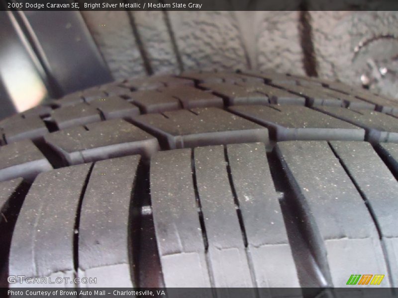 Bright Silver Metallic / Medium Slate Gray 2005 Dodge Caravan SE