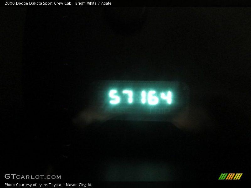 Bright White / Agate 2000 Dodge Dakota Sport Crew Cab