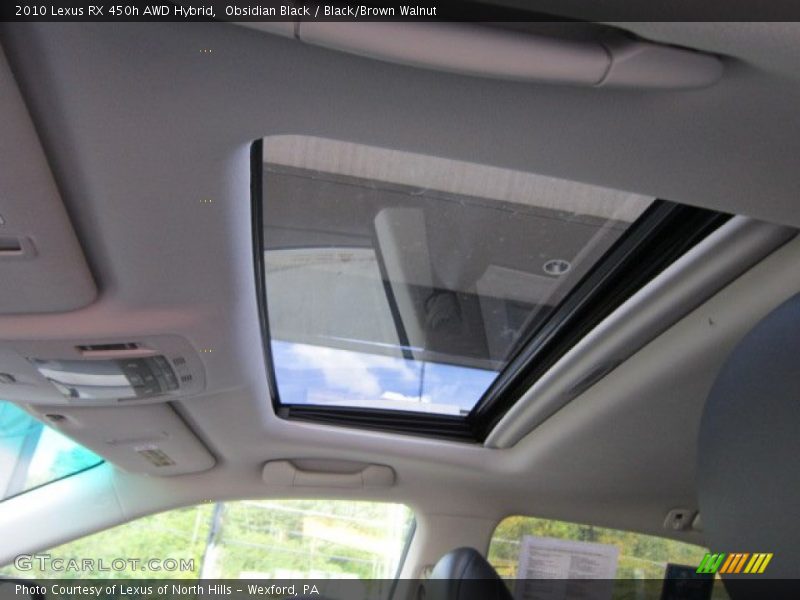 Obsidian Black / Black/Brown Walnut 2010 Lexus RX 450h AWD Hybrid