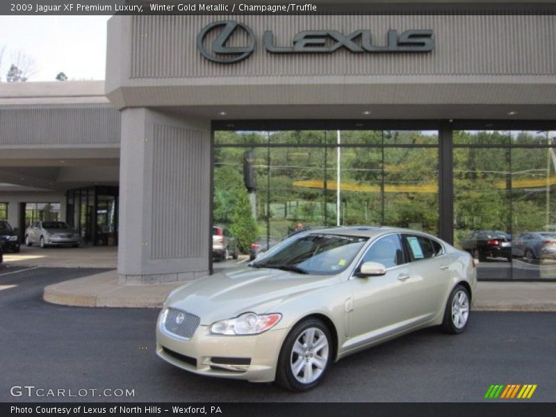 Winter Gold Metallic / Champagne/Truffle 2009 Jaguar XF Premium Luxury