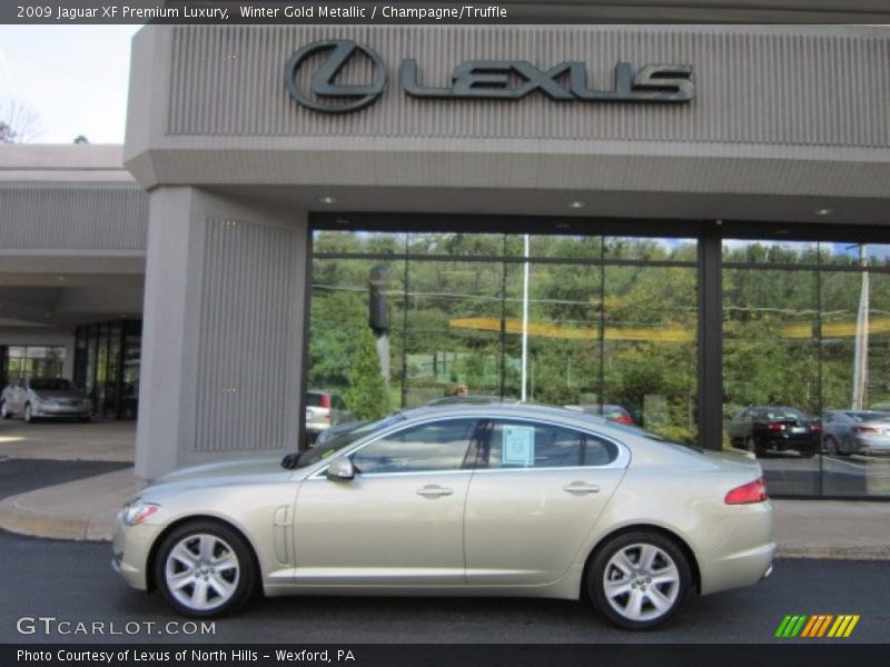 Winter Gold Metallic / Champagne/Truffle 2009 Jaguar XF Premium Luxury