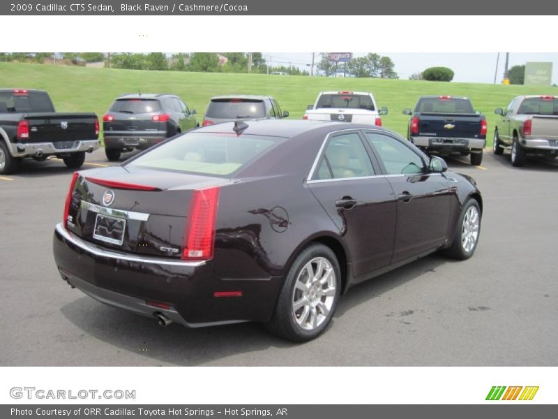 Black Raven / Cashmere/Cocoa 2009 Cadillac CTS Sedan