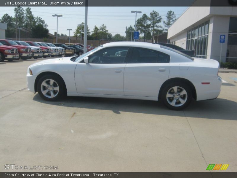 Bright White / Black 2011 Dodge Charger SE