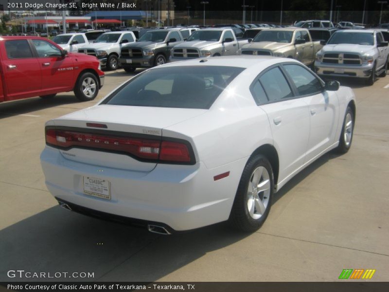 Bright White / Black 2011 Dodge Charger SE