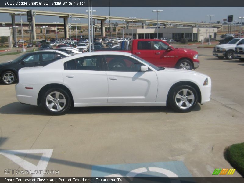 Bright White / Black 2011 Dodge Charger SE